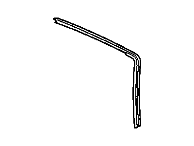 GM 20643075 Drip Molding, Driver Side