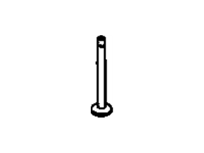 Chevy 52252456 Intake Valve