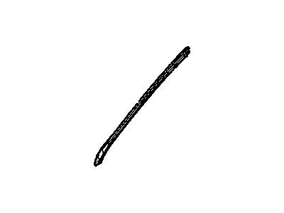 Chevy 15824889 Side Molding