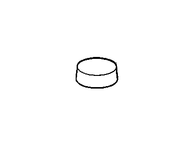 GM 10281336 Spare Cover
