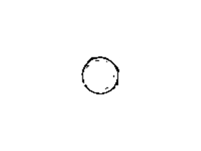 Cadillac DeVille Water Pump Pulley - 22505009