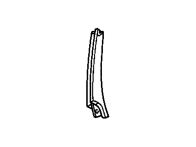 Pontiac 10064521 Molding