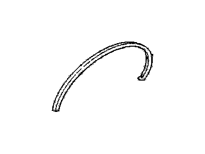 GM 10019299 Molding, Front Driver Side