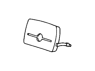 GM 17998568 Airbag, Inflatable Restraint System