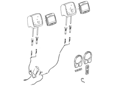 GM 23139995 Display, Video Player, Rear, Leather