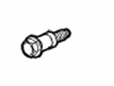 Chevy 55578703 BOLT,TIMING CHAIN GUIDE(@ LH/RH GUIDE)