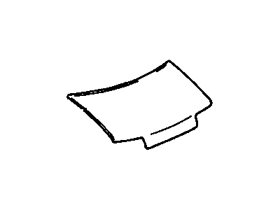 Chevy 10284405 Hood