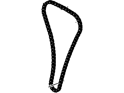 Buick 55562234 Timing Chain