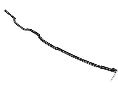 Chevy G20 Weather Strip - 15699867
