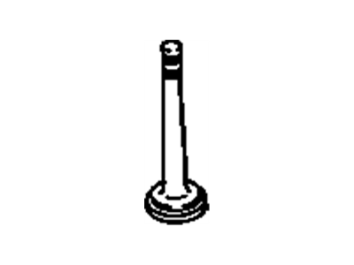 Chevy 10241743 Valves