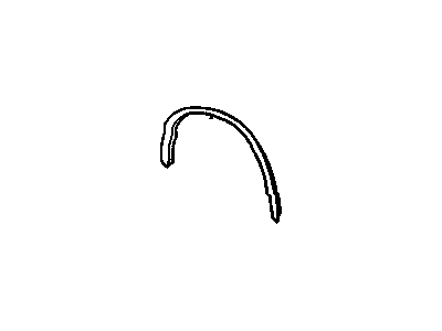 GM 25500374 Molding, Front Passenger Side
