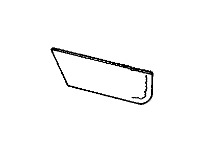 Buick 16671909 Carpet Trim