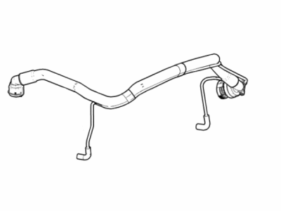 GM 25193343 PCV Valve