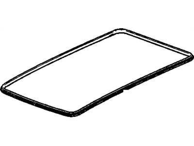 GM 15294671 Lace, Headlining Finish And Back Window