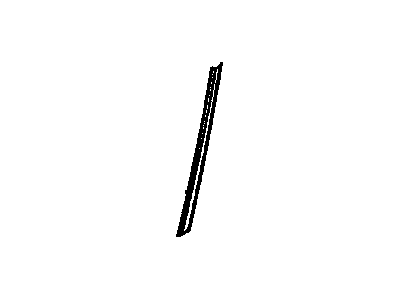 Buick 25650672 Side Molding