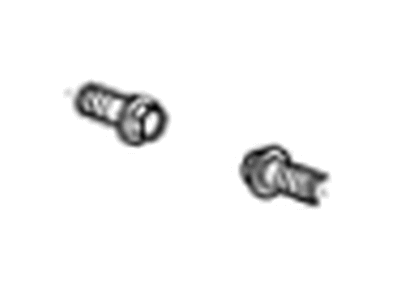 GM 11546469 Caliper Support Mount Bolt, Front