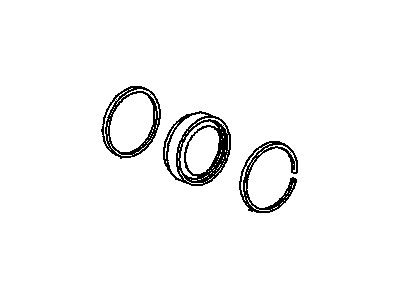 GM 18048685 Caliper Overhaul Kit