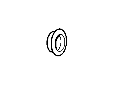GM 22730862 Plug, Rear Quarter Outer
