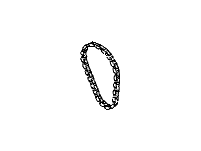 GM 10114177 Timing Chain