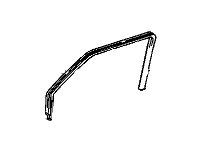 GM 15001925 Weatherstrip, Side Door Window Glass, Front