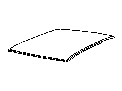 Buick 20539351 Roof
