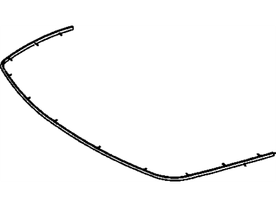 Pontiac 14103024 Molding