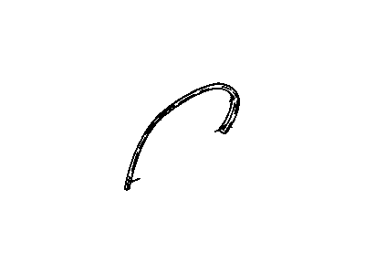 Cadillac 14086943 Side Molding