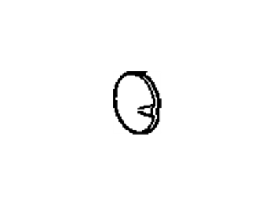 GM 10236257 Fuel Door