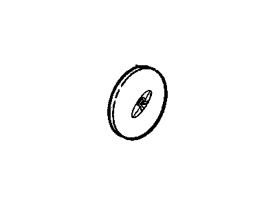 GM 25602312 Center Cap