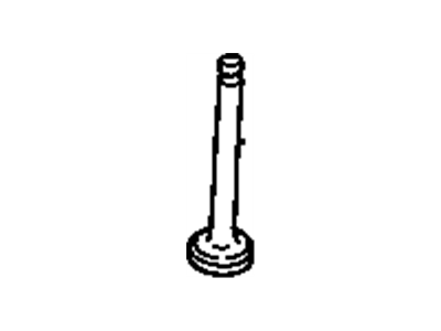 Chevy 10144172 Valves