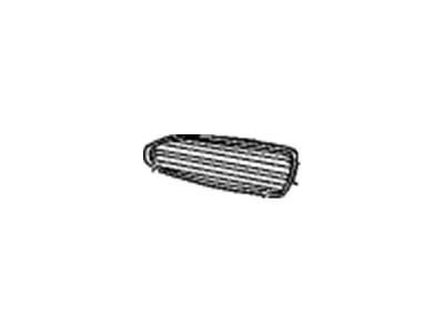 GM 25622143 Grille, Driver Side