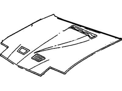 Pontiac 10030761 Hood