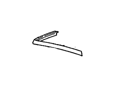GM 20641981 Drip Molding, Driver Side