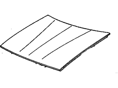 Pontiac 22535441 Hood