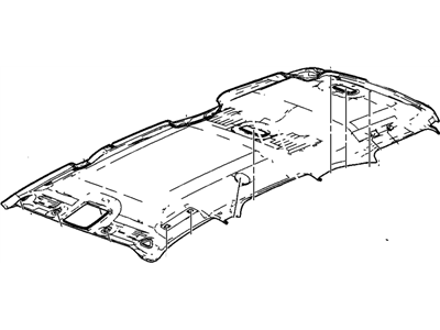 GM 89026136 Panel, Roof Headlining