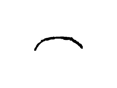 Chevy 9635114 Wheel Opening Molding