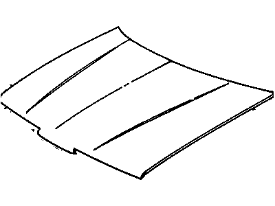 Buick 12369172 Hood