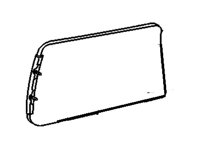 Chevy 10209983 Glass