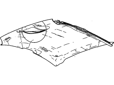 GM 15234497 Panel, Roof Headlining, Opel Gray