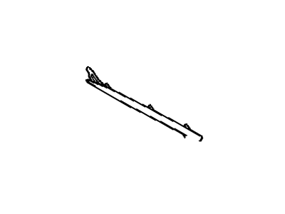 GM 10246320 Body Side Molding, Front