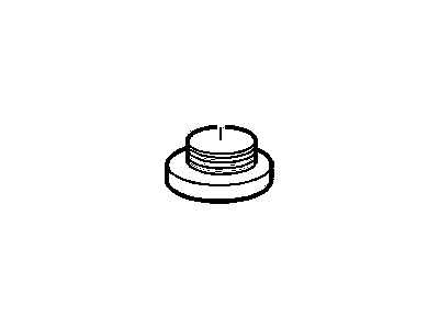 GM 22994146 Plug, Engine Fuel Filter