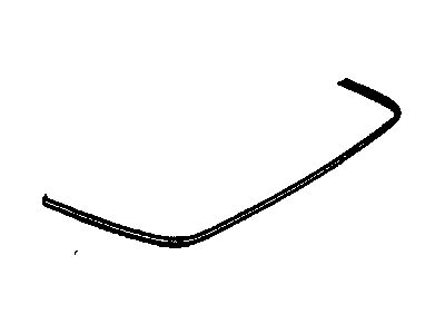 Buick 25658173 Molding