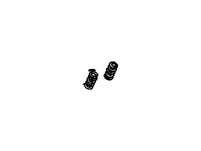 Pontiac 10207475 Valve Springs