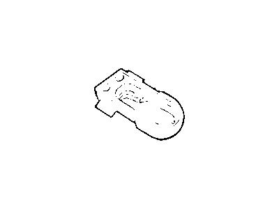 Pontiac 20501858 Molding