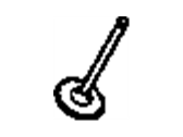 Chevrolet Tahoe Intake Valve - 12564494 Intake Valve