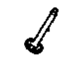 Buick Park Avenue Intake Valve - 12569550 Intake Valve