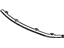 GM 10053473 Molding