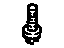 GM 11561504 Screw, Pan Head