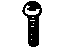 GM 11612147 Latch Screw