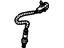 GM 12597878 Oxygen Sensor